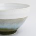 画像5: 2025新作：【RICE BOWL ライスボウル】うのふボウル 大 グリーン (5)