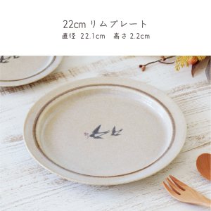 画像2: 【BONHEUR ボヌール】22cmリムプレート