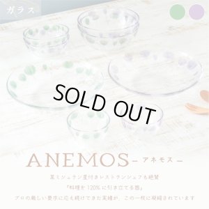 画像4: 【ANEMOS アネモス】ボウル 中 パープル