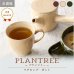 画像4: 【PLANTREE プランツリー】マグカップ　アイボリー (4)