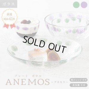 画像2: 【ANEMOS アネモス】ボウル 中 パープル