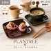 画像2: 【PLANTREE プランツリー】プレート　大　グリーン (2)