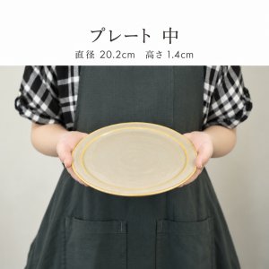 画像5: 【MUTE ミュート】プレート　中　ブラック