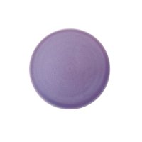 【CLARTE クラルテ】21cmプレート　紫