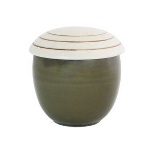 画像1: 【RÉCOLTE レコルト】蒸し碗 どんぐり 緑