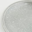 画像4: 2025新作:【SPLASH スプラッシュ】24cm深プレート グレー (4)