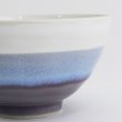 画像5: 2025新作：【RICE BOWL ライスボウル】うのふボウル 大 パープル (5)