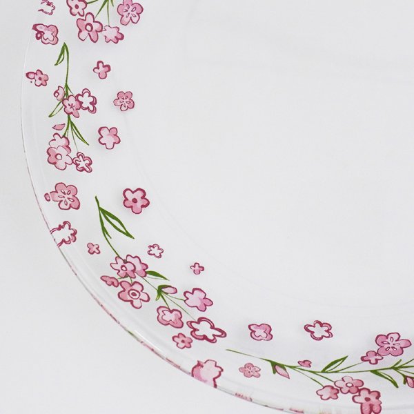 画像4: 【PICCOLO ピッコロ】18cmプレート ピンク (4)