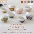 画像7: 【RICE BOWL ライスボウル】うのふボウル 大 ブラウン (7)