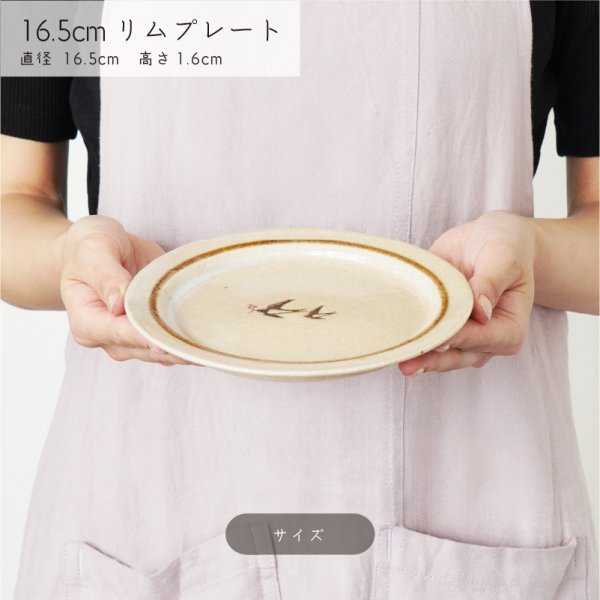 画像3: 【BONHEUR ボヌール】16.5cmリムプレート (3)