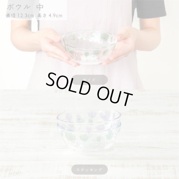 画像3: 【ANEMOS アネモス】ボウル 中 パープル (3)