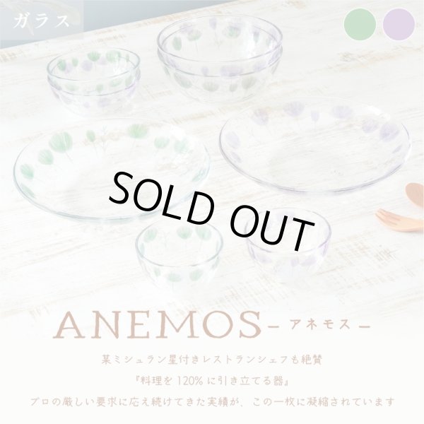 画像4: 【ANEMOS アネモス】ボウル 中 パープル (4)