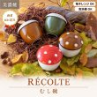 画像2: 【RÉCOLTE レコルト】蒸し碗 どんぐり 茶 (2)