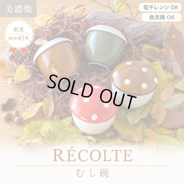 画像2: 【RÉCOLTE レコルト】蒸し碗 どんぐり 茶 (2)
